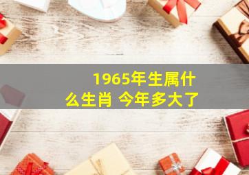 1965年生属什么生肖 今年多大了